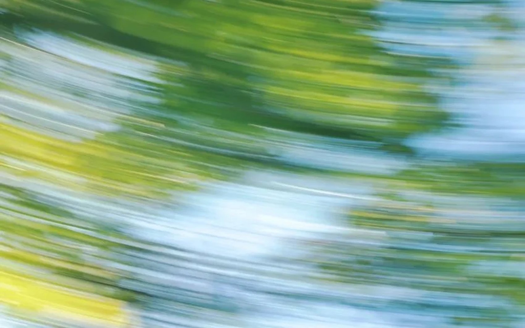 Green and blue canopy of leaves, photographed with a long exposure